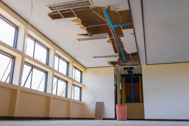Best Flood restoration services  in Billings, MT