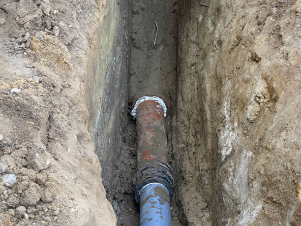 Best Flood damage cleanup  in Billings, MT