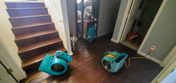 Best Ceiling water damage repair  in Billings, MT