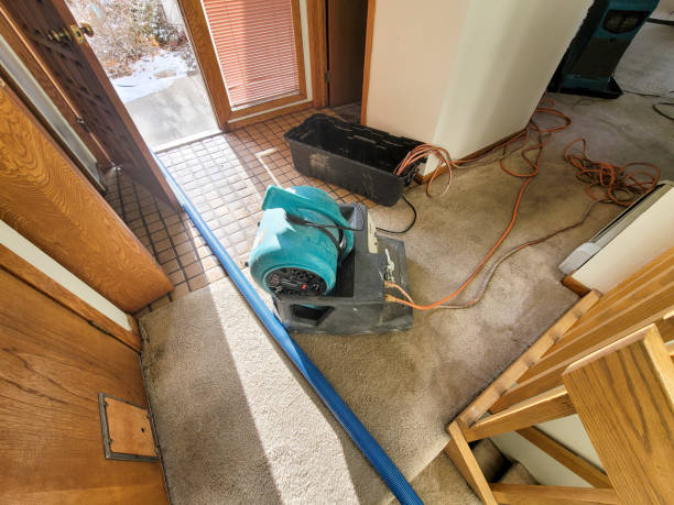 Best Ceiling water damage repair  in Billings, MT