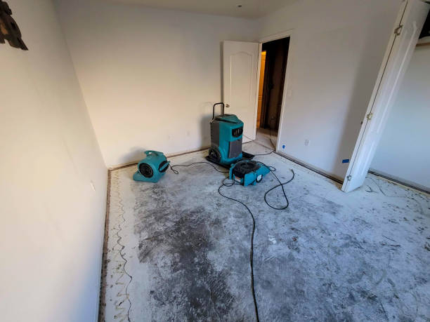 Best Water damage restoration services  in Billings, MT