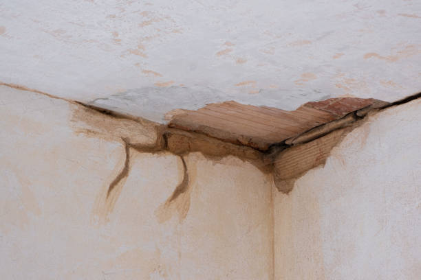 Carpet water damage restoration in MT