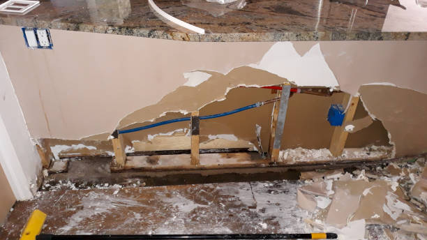 Best Professional water damage repair  in Billings, MT