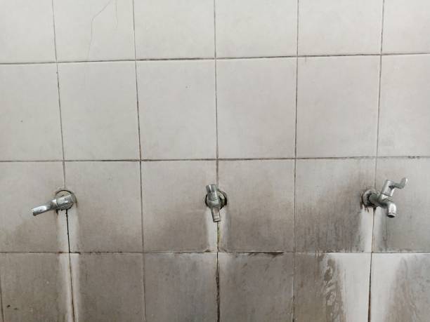 Best Residential water damage restoration  in Billings, MT